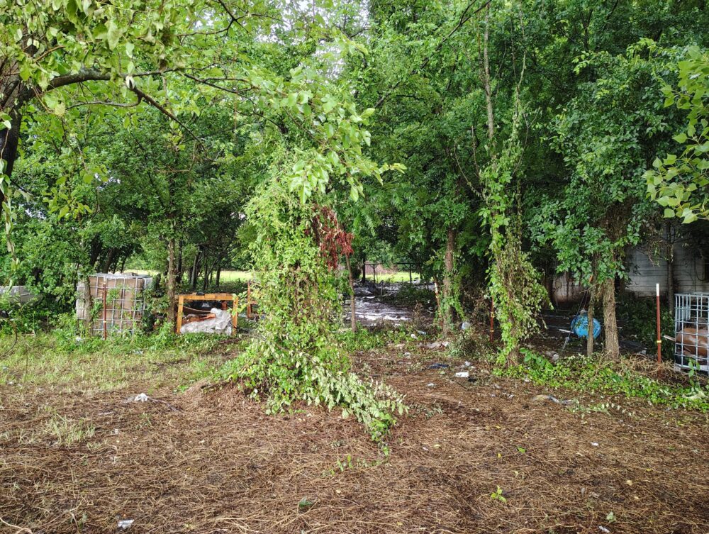 Landscape Demolition